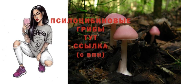 индика Волосово