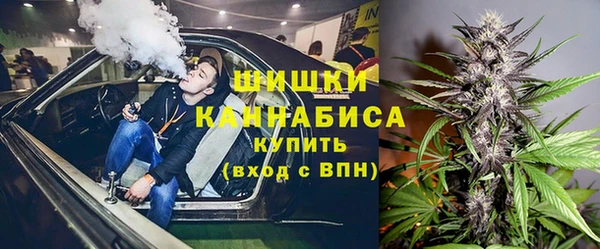 индика Волосово