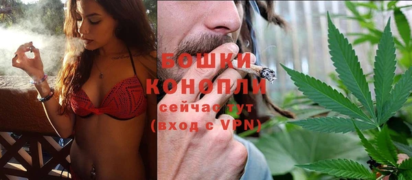 индика Волосово