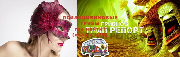 индика Волосово